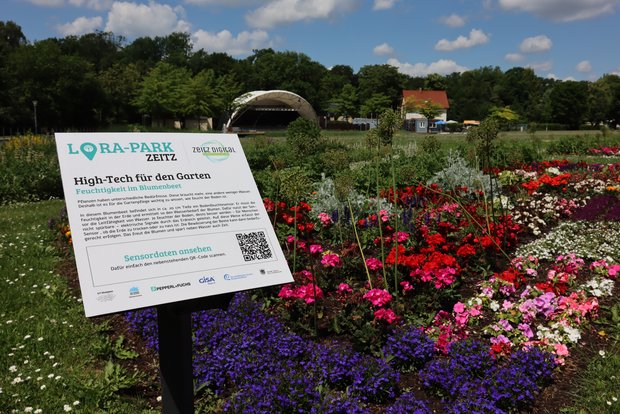 Infotafel zum Projekt High Tech für den Garten Feuchtigkeit im Blumenbeet mit Infotext zum im Hintergrund zu sehenden Blumenbeet und dessen Bodenfeuchtesensoren und ein QR Code zum Scannen um die Sensordaten aufrufen zu können